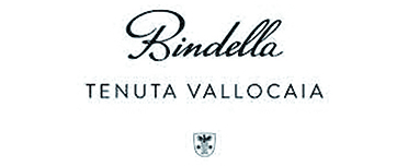 mondovino-vino-cornedo-vicenza-bindella-logo